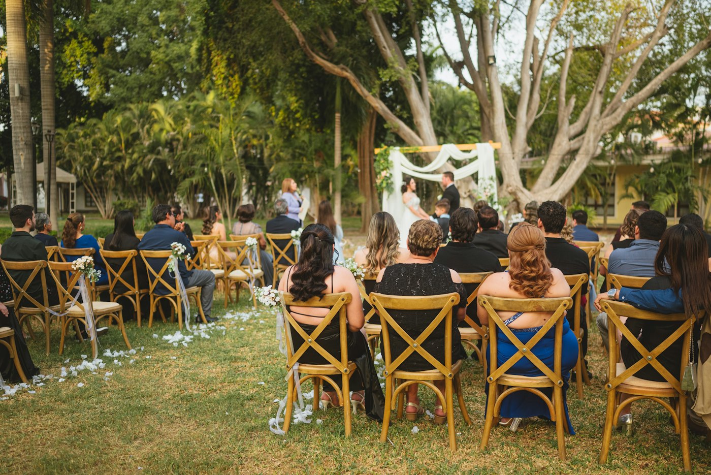 Guests sit on wooden cross-back chairs at a green outdoor wedding ceremony in the sun