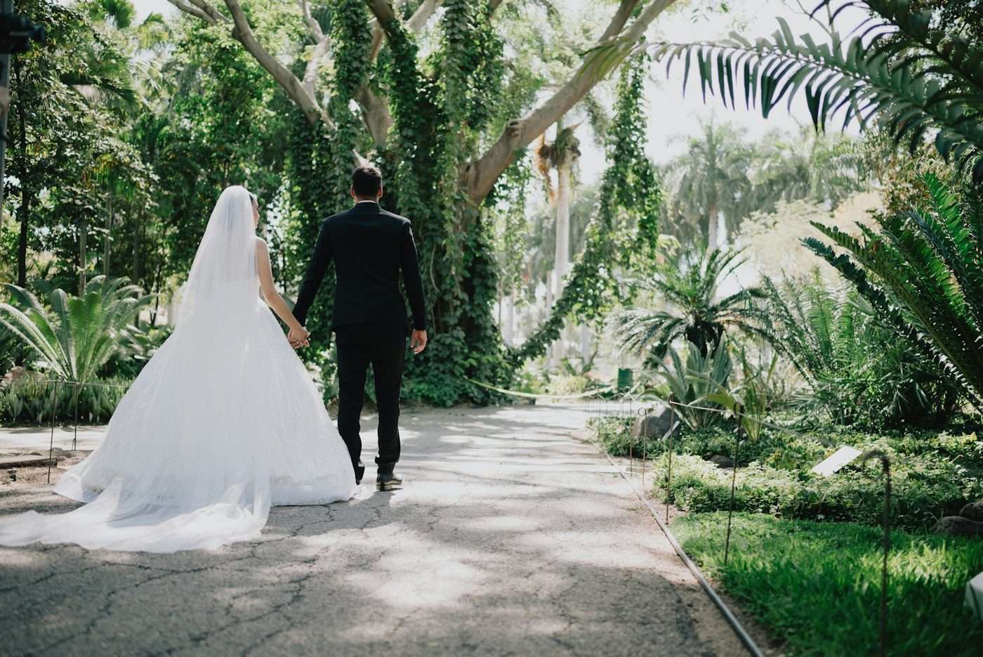 A bride with a long veil and her groom walk hand in hand down a shady path through a botanical garden with palms and climbing plants