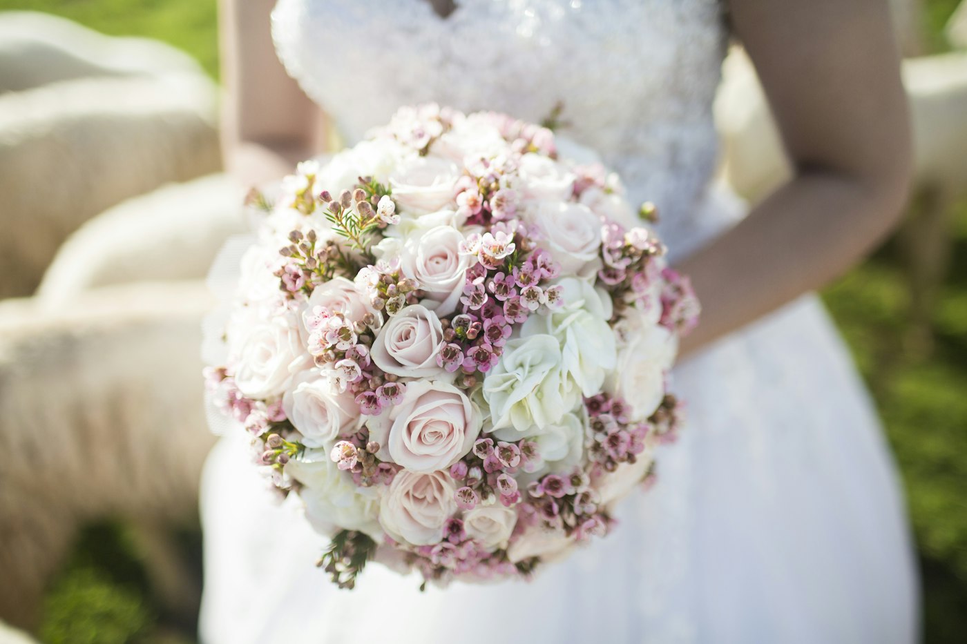 Eine Braut in weißem Perlenkleid hält einen runden Biedermeierstrauß aus zartrosa Rosen, weißer Hortensie und rosa Wachsblume